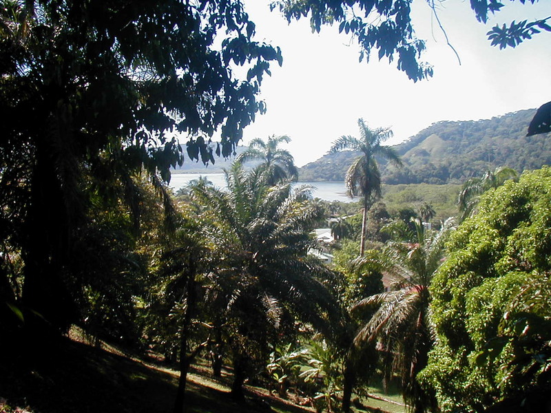 Land For Sale in Golfito Costa Rica